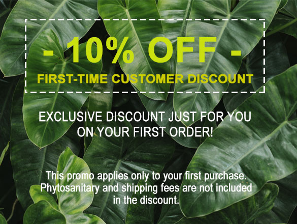 First-time Customer Discount