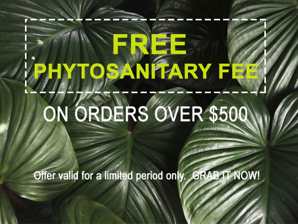 FREE Phytosanitary Fee