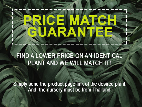 Price Match Guarantee