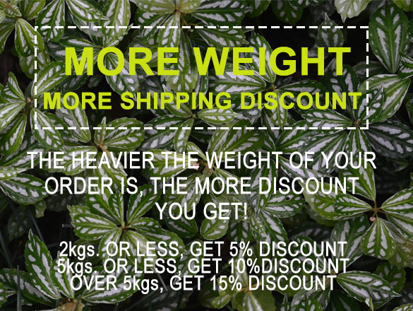 More Weight, More Shipping Discount