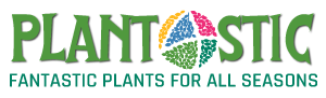 Plantastic 4